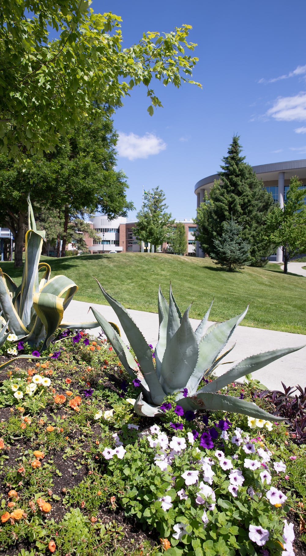 Campus beauty of Arts and Education building