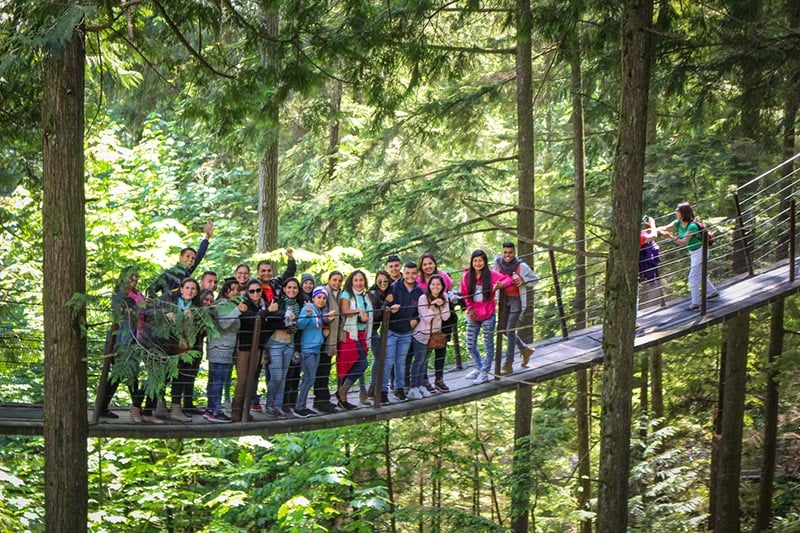 suspension bridge